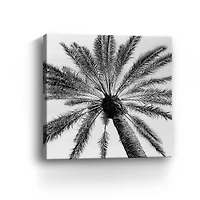 Skyward Palm Canvas Giclee