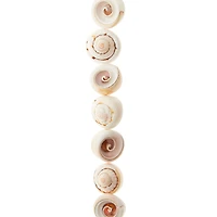 White Swirl Shell Beads, 16mm by Bead Landing™