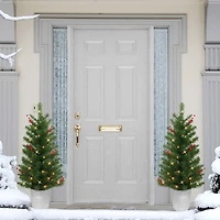 2 Pack 3.5ft. Pre-Lit Adorned Artificial Potted Christmas Tree, Warm White LED Lights