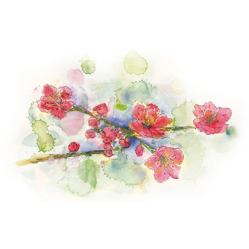 Kuretake GANSAI TAMBI™ 24 Color Watercolor Set