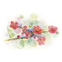 Kuretake GANSAI TAMBI™ 24 Color Watercolor Set