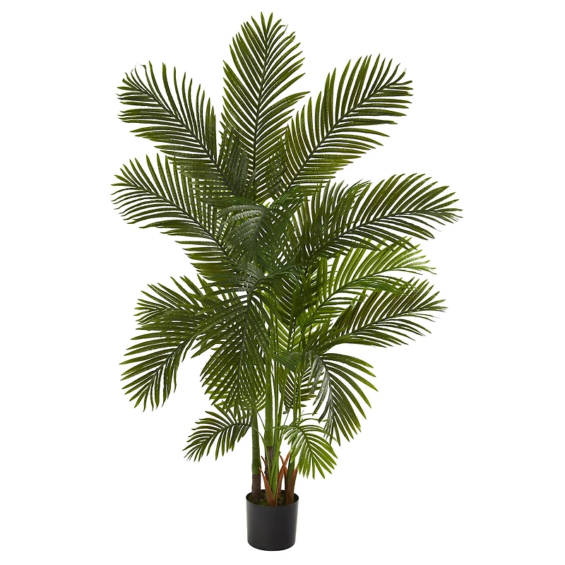 6ft. Potted Areca Palm Tree