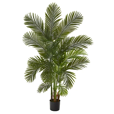 6ft. Potted Areca Palm Tree