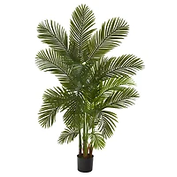 6ft. Potted Areca Palm Tree