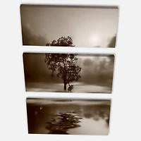 Designart - Alone Tree on Island in Sepia