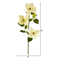 Cream Anemone Flower Spray, 6ct.