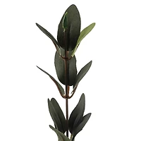 Huckleberry Leaf Spray by Ashland®