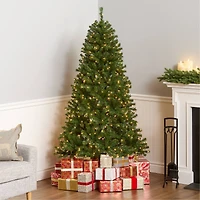6.5ft. Pre-Lit North Valley® Spruce Artificial Christmas Tree, Clear Lights