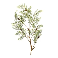 41" Cedar Spray, 6ct.