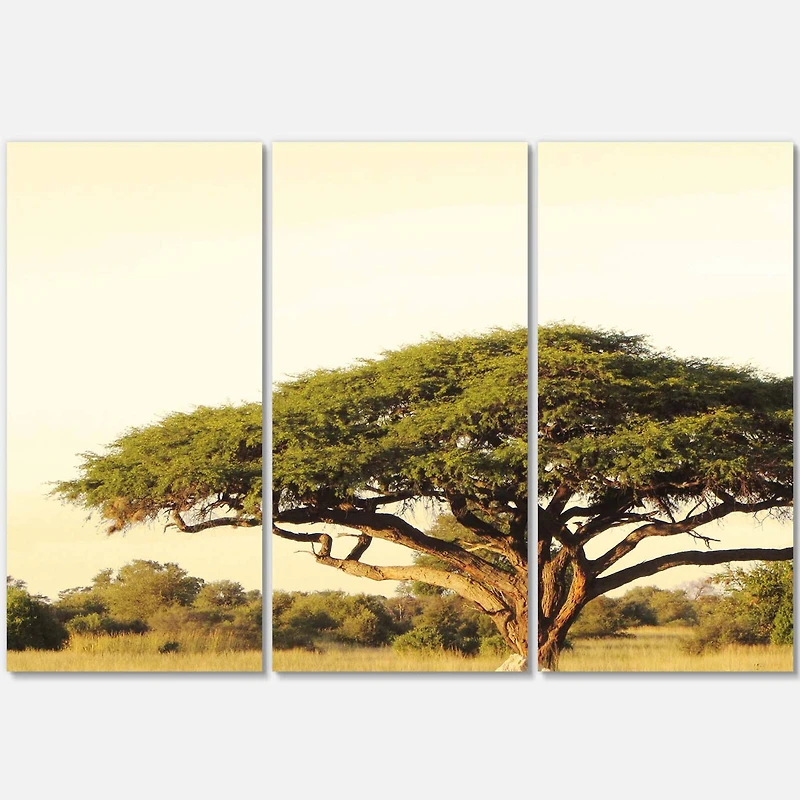 Designart - Acacia Tree on African Plain