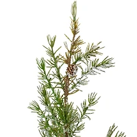 28" Unlit Frosted Pine Potted Artificial Christmas Tree