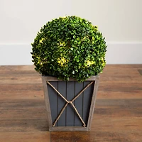 18" LED UV Resistant Boxwood Ball Topiary in Decorative Planter