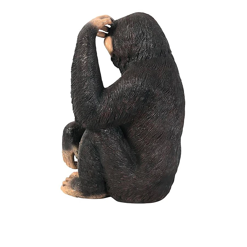 Design Toscano Chauncey the Confused Chimp Garden Monkey Statue