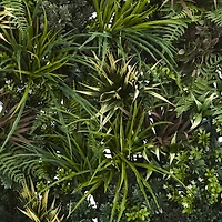 3ft. Greenery & Fern Wall Panel