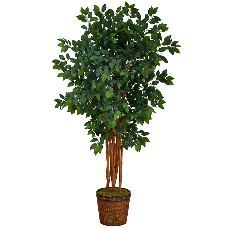 5.5ft. Sakaki Artificial Tree in Wicker Planter