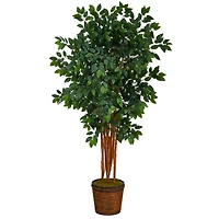 5.5ft. Sakaki Artificial Tree in Wicker Planter