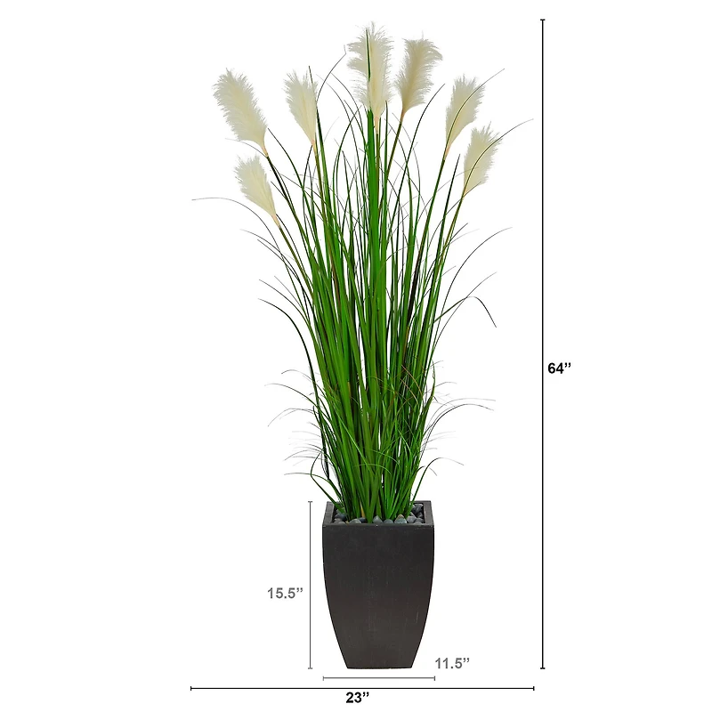 5ft. Wheat Plume Grass Plant in Black Planter