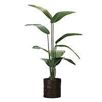 American Art Decor 5ft. Banana Palm Tree in Woven Basket