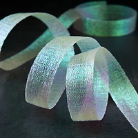 7/8" x 5yd. Metallic Sheer Ribbon by Celebrate It™