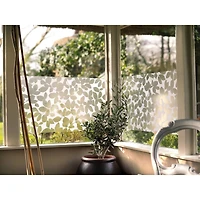 Brewster Leaf Static Window Film