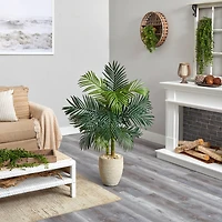 4.5ft. Golden Cane Palm Tree in Oval Planter