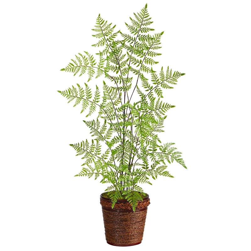 3ft. Ruffle Fern Artificial Tree in Basket