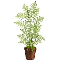 3ft. Ruffle Fern Artificial Tree in Basket