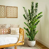 6ft. Artificial Zamioculcas Plant