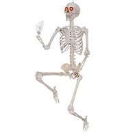 5ft. Poseable Skeleton with Red LED Eyes by Ashland®