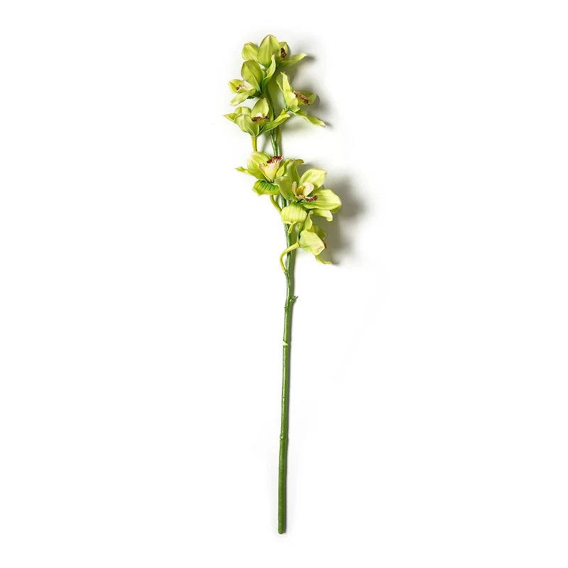 8 Pack: Pale Green Boat Orchid Stem by Ashland®