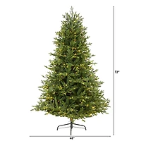6ft. Pre-Lit Wyoming Spruce Artificial Christmas Tree with Clear LED Lights