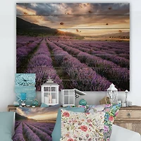 Designart - Sunrise & Dramatic Clouds Over Lavender Field VI