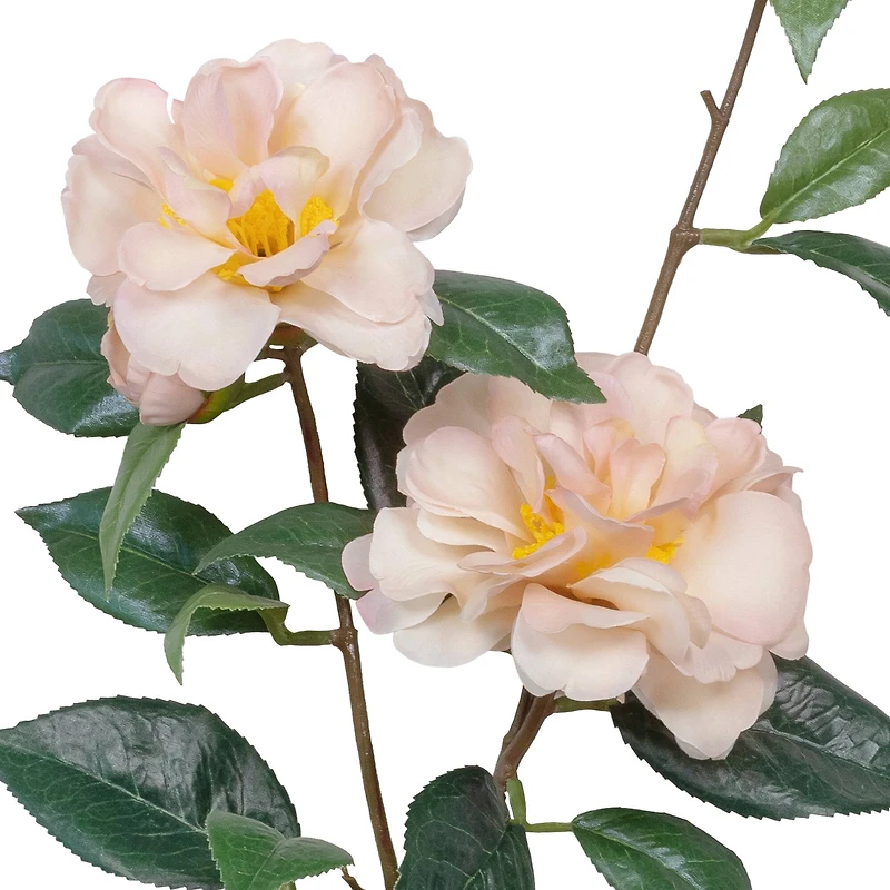 34" Camellia Spray Stem by Ashland