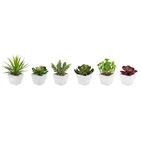 7" Potted Succulent Set
