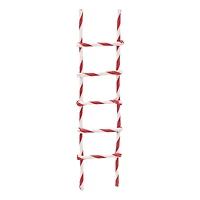 Mini Candy Cane Ladder Decoration by Ashland®