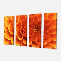 Designart - Large Orange Flower and Petals