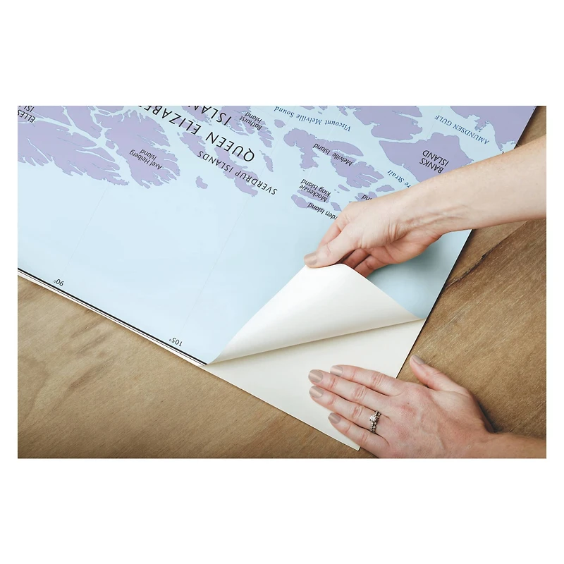 RoomMates Blue & Green World Map Educational Mural Peel & Stick Wallpaper