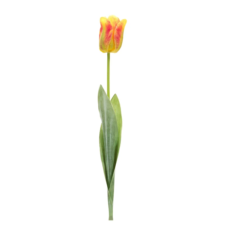 27" Tulip Floral Stem, 6ct.