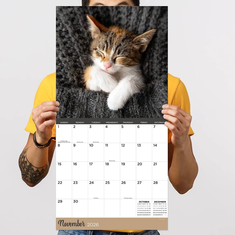 2026 Cat Dreams Wall Calendar