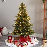 5ft. Pre-Lit North Carolina Spruce Artificial Christmas Tree, Clear Lights