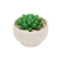 16oz. Cream Potted Succulent Candle by Ashland®