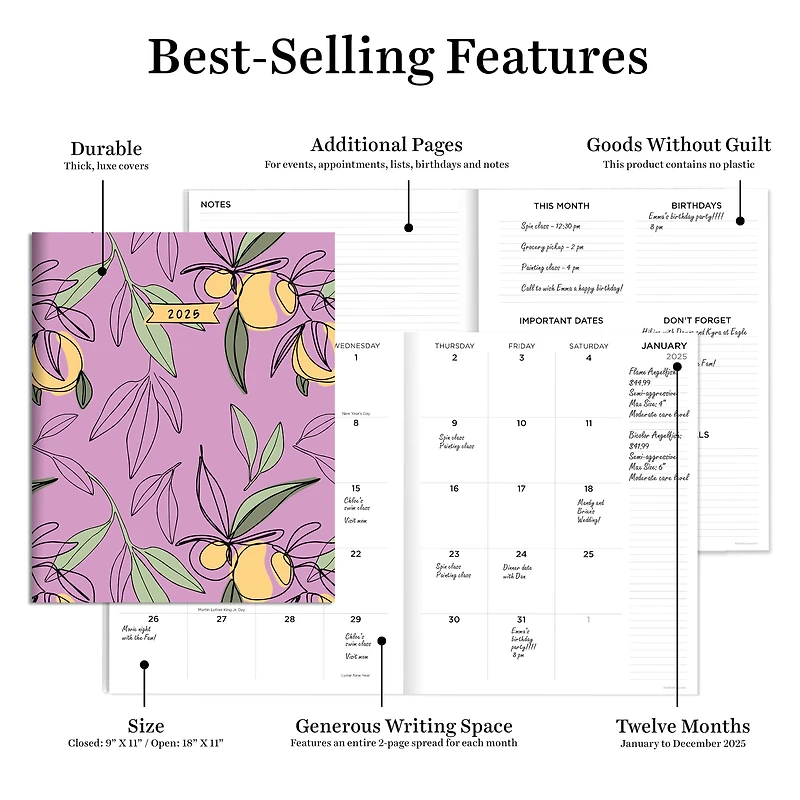 TF Publishing 2025 Lemon & Lavender Monthly Planner