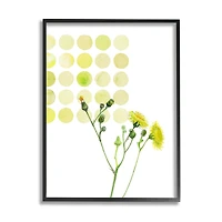 Stupell Industries Dandelion Flowers under Abstract Summer Circles Floral Painting Framed Wall Art