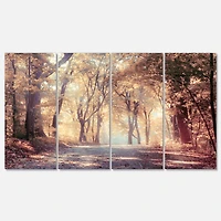 Designart - Golden Autumn Beautiful Forest