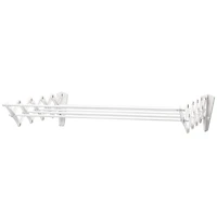 Woolite 24" Wide Collapsible Wall-Mount Drying Rack