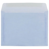 JAM Paper 9" x 12" Translucent Surf Vellum Envelopes, 25ct.