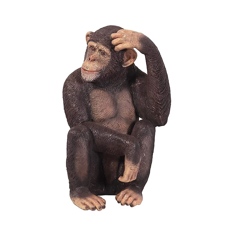 Design Toscano Chauncey the Confused Chimp Garden Monkey Statue