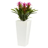2ft. Triple Bromeliad Plant in White Tower Planter