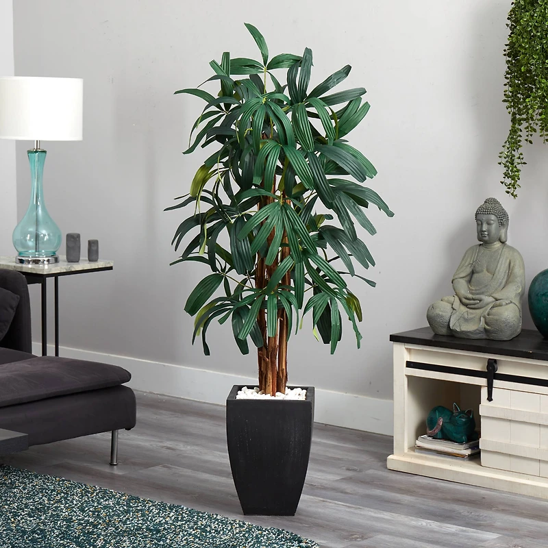 5.5ft. Potted Raphis Palm Tree in Black Decorative Planter