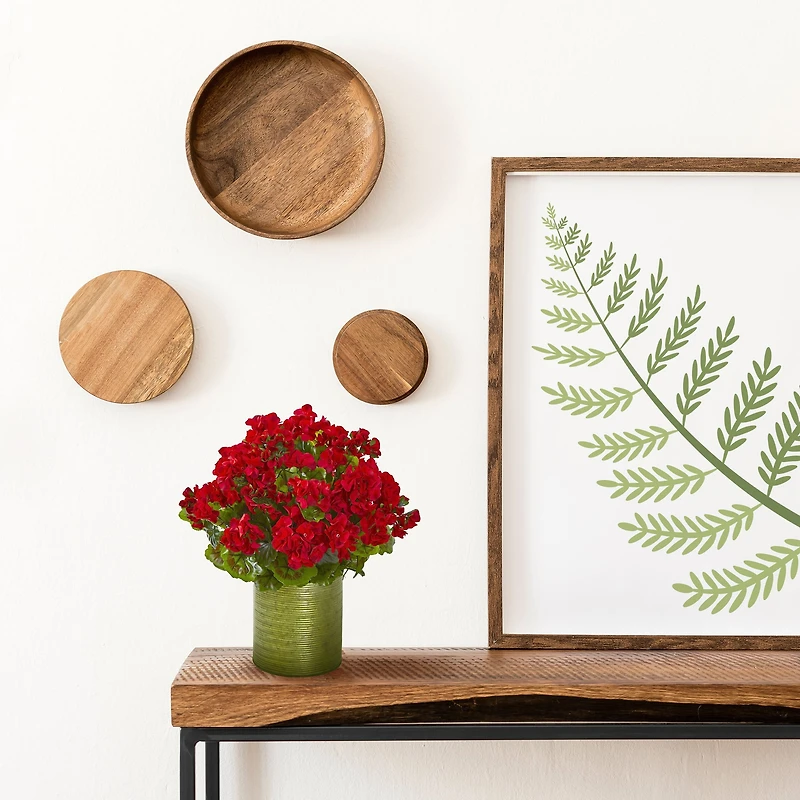 20" Red Geranium in Metal Planter